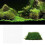 Christmas Moss Plant Aquarium Aquarium Java Moss Moss Mesh Aquarium 7