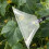 Drift Guard with Sprayer Nozzle for Backpack Sprayer Garden Farm 6
