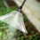 Drift Guard with Sprayer Nozzle for Backpack Sprayer Garden Farm 5
