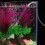 Turtle Tank Decorations Aquarium Plants Artificial Water Ornament 8