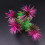 Turtle Tank Decorations Aquarium Plants Artificial Water Ornament 6