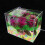 Turtle Tank Decorations Aquarium Plants Artificial Water Ornament 10