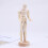 Wooden Joint Man Decorative Model Craft Ornament Gift 9