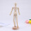 Wooden Joint Man Decorative Model Craft Ornament Gift 7