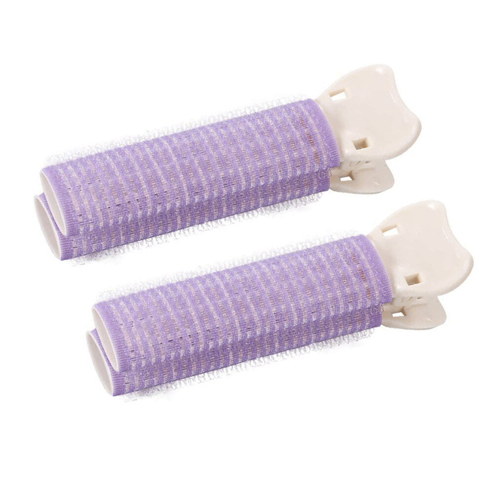 2pcs Volumes Hair Curler Curly Hair Roller and-Purple 2 bags