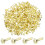 300 Pcs Metal Brads Clips for School Office Crafts 1