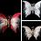 Dynamic Fabric Tree Lepidopterans Not Toxic Dyes-Silver white 7