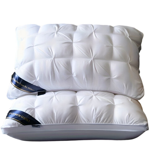 5-Star Hotel Quality Pillow 1