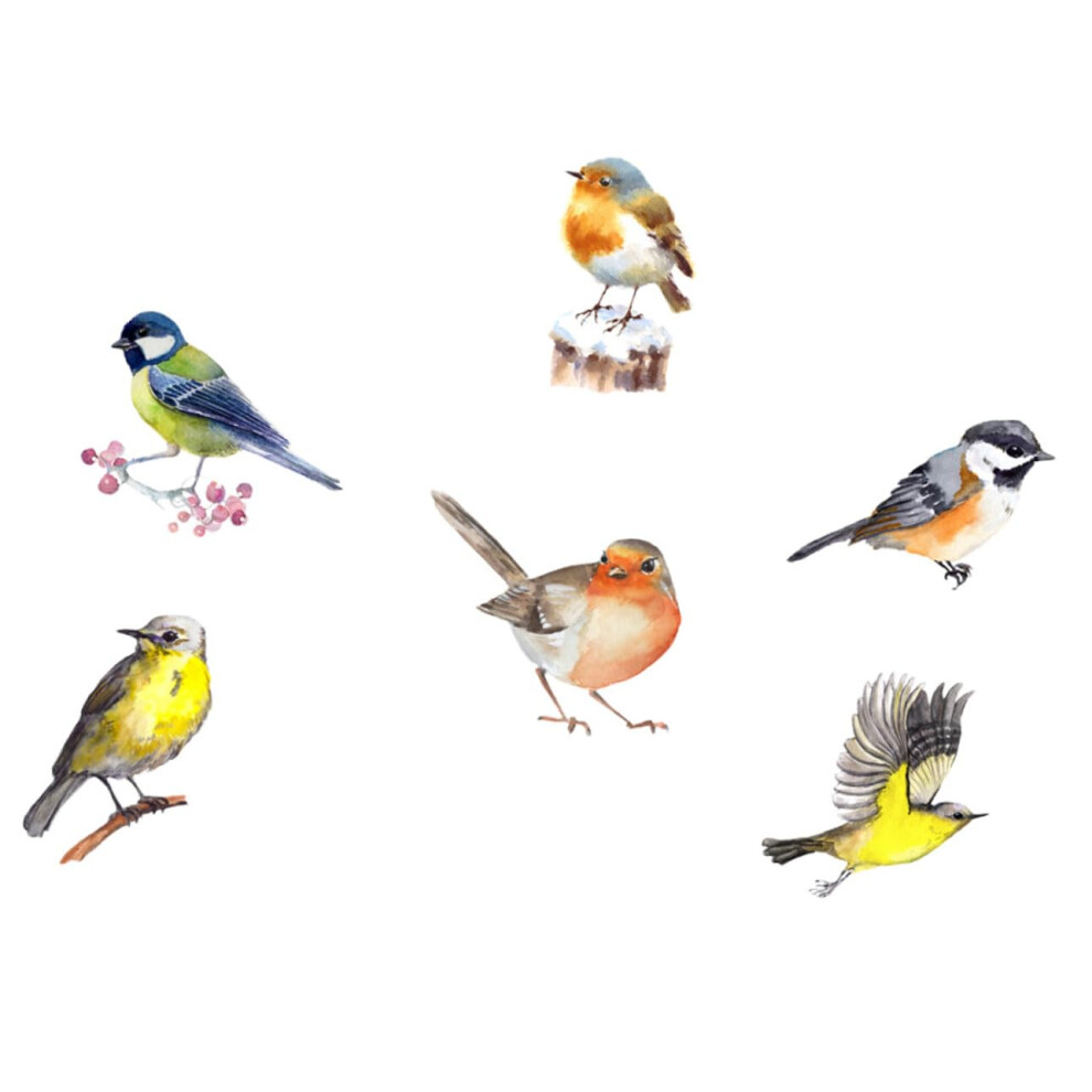 Anti-Collision Static Window Clings 6-Piece Non-Adhesive PVC Stickers For Indoor Glass Windows Bird Strike Prevention-image-OPC-PKHRQ5M-NEW