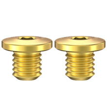 Bicycles Hydraulic Disc Brake Bolts, Hydraulic Brake-2pcs Gold