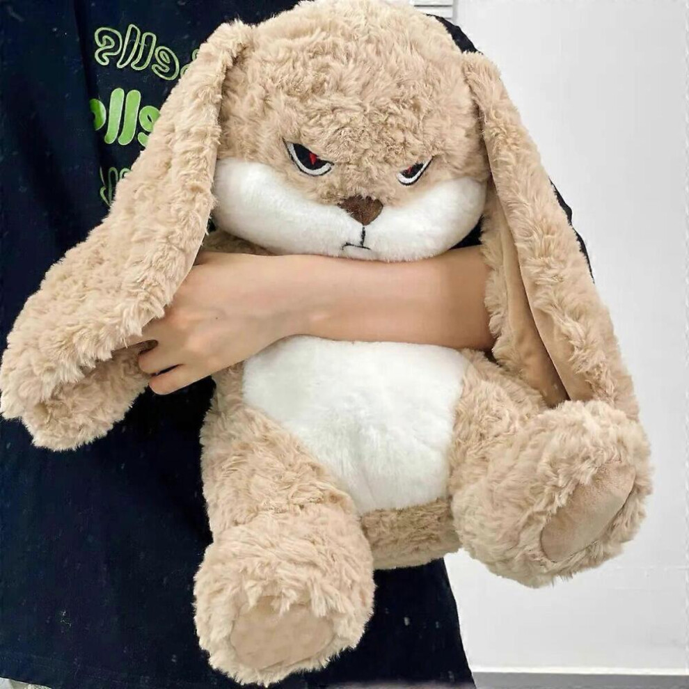 Fluffy Hair Angry Bunny Plushie Long Ear Rabbit Plush Toy Kawaii Animals Kids Doll Birthday Gift for Children Hug Cuddly Dy Xmas