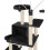 Albero per gatti 165 cm nero 3708101 5