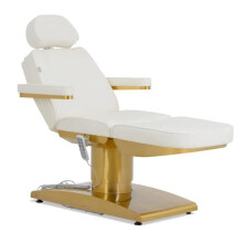 Professioneller elektrischer Massagetisch 200 kg beheizt drehbar bis 120 gold-weiß 14_0010002