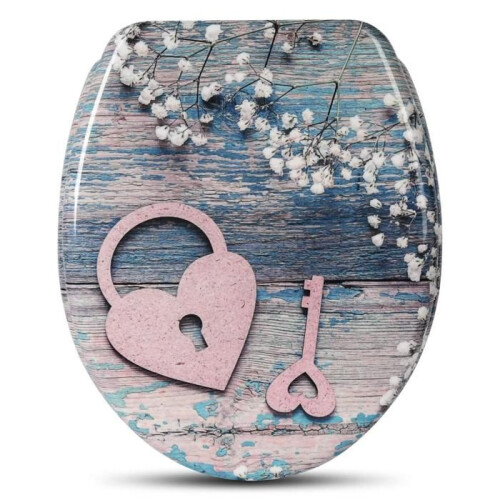 Sedile WC con chiave a cuore per abbassamento automatico 19_0000733