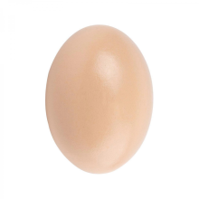 Wooden Simulation Egg Unfinished Wood Painted Eggs Fake Eggs Crafts for DIY Craft Educational Kids Toy Gift Easter Decoration SuppliesBeige