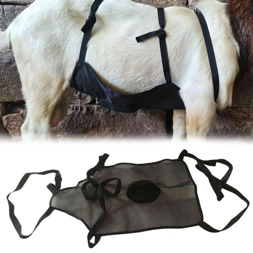 Goat Apron Anti Breeding Sheep Skirt For Goats Breeding Control, Wear-Resistant Anti Mating Livestock Clothing Blue 9016109904973