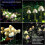 Solar Pilz Fee String Lichter Solar Powered In Boden Lichter Dekoration 4