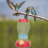 Kunststoff Outdoor Blume Kolibri Wasser Schüssel 2