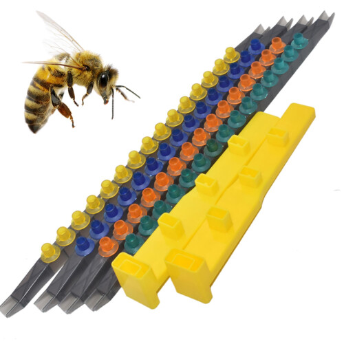 Bee Keeping Starter Kit Multifunctional Folding Queen Cell Cup Holder Frames For Apiculture