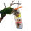 Acryl Hexagramm Multilayer Vogel Beißen Fütterung 6