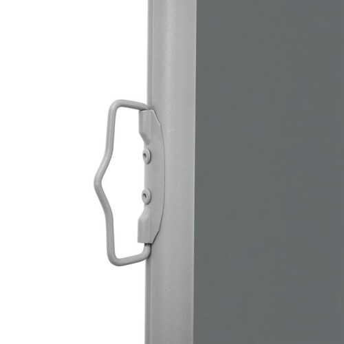 Auvent latéral rétractable 100 x 600 cm anthracite 02_0007105 1