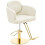Friseurstuhl - HELLOSHOP26 - Ergonomisch - Edelstahl - 200 kg - Creme Gold 1