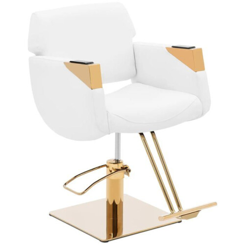 Professionele kapsalonstoel - HELLOSHOP26 - Ergonomisch - RVS - 200 kg - Modern design