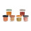 BEABA Coffret 6 Portionen Glas 250ml Sunrise 3