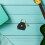 4pcs Guitar Pick Holder Case with Keychain for Travel 7