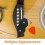 4pcs Guitar Pick Holder Case with Keychain for Travel 8