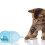 Feeding Bottle, Sky-Blue Silicone, Safe Design For Newborns 6