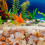 Sandstein Aquarium Dekoration Kristall Sand 2