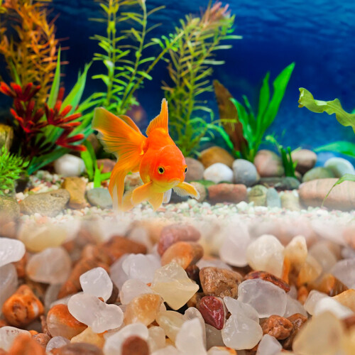 Sandstein Aquarium Dekoration Kristall Sand 1