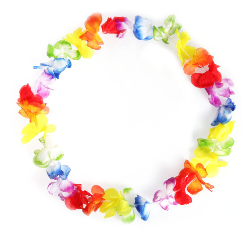 Hawaii Grass Skirt Set Met Elastische Taille Hula
