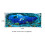 Hintergrund Poster Dekorative Sea World Gemälde 12