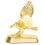 1St Universeel Motor Badge Gouden Front Decor Van 1