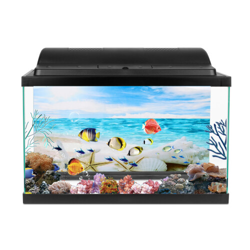 Hintergrund Poster Dekorative Seestern Gemälde PVC 2