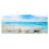 Hintergrund Poster Dekorative Seestern Gemälde PVC 1
