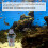 Künstliche Aquarium Harz Eimer Ornament Dekoration 14