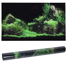 Aquarium Aquarium Meeresboden Wasser Gras