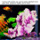 Künstliche Simulation Rattan Pflanze Aquarium 9