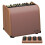 TC Helicon HARMONY V60 Akustikgitarrenverstärker 1