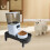 Cat Feeder Support Adjustable Height Compatible With Automatic Home Feeders Black 4
