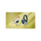 Philips Cuffie Philips serie 5000 TAK5500AL circumaurali wireless per bambini 4