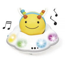 Skip Hop E&M Follow Bee Crawl Toy