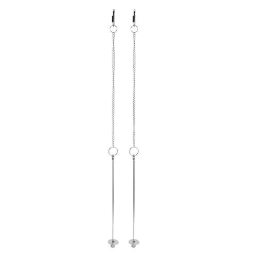 2PCS Haustier Huhn Edelstahl Obst Gemüse Mais 2
