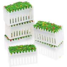 6 piante grasse succulente con fioriere per casa delle bambole