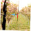 Bowstring Accessories Nylon 12-Strand Replacement String For Hunting 1 Piece 5