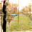 Strand Durable Bowstring For Traditional Archery Bowstring Lightweight Hunting Tool Compatible With Recurve And Longbows 4
