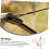 Bowstring 3-Piece Strand Recurve Bowstring For Hunting Long Length Durable Material Stable Performance 4